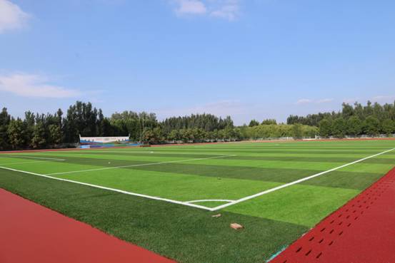 微信图片_20251205101120_7306_33