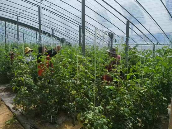 7868bff788673459b094802c9252c511