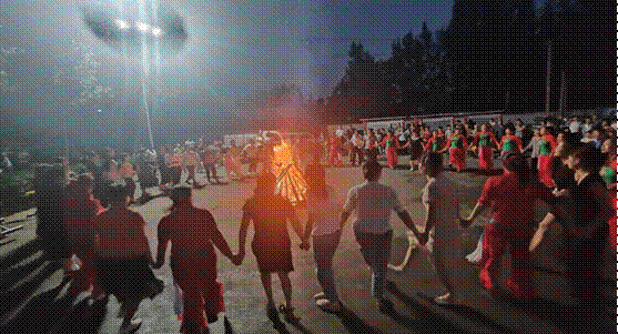 49397ad9c1d9f0f251c86cc0e8521959