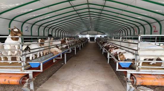 13ccda9f77265fad5ac680db23294963